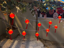 菲享太陽能燈籠彩燈氛圍燈水晶流蘇燈串家用戶外燈籠春節(jié)新年裝飾掛件 插電款-無太陽能遙控功能18燈 5m 【遙控八功能】 曬單實拍圖