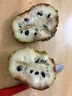 泰國(guó)牛奶釋迦果禮盒裝【順豐JD】釋迦摩尼果中秋節(jié)禮品水果禮盒 30年老樹(shù) 特大果【單果約380g+】 凈重5斤裝【80%選擇-蕞劃算】 曬單實(shí)拍圖