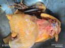 崠鮮農(nóng)家散養(yǎng)土公雞肉新鮮青腳黃雞黑鳳大公雞土雞走地雞整雞雞肉生鮮 黑腳麻公雞5斤*1只 送料包 曬單實(shí)拍圖