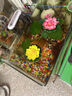 UOSO仿真荷花荷葉水池塘裝飾造景塑料假睡蓮花魚缸供佛舞蹈道具擺件 粉色荷花 10厘米 曬單實(shí)拍圖