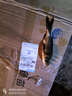 小許農家花鰱魚(yú)苗活體可食用胖頭魚(yú)鰱鳙淡水養殖四大家魚(yú)黒鰱雄魚(yú)大頭魚(yú)苗 30條16-20厘米大花鰱 曬單實(shí)拍圖