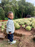 戴維貝拉（DAVE＆BELLA）兒童長(zhǎng)褲套裝學(xué)院風(fēng)小童休閑上衣褲子兩件套運(yùn)動(dòng)風(fēng)寶寶衣服童裝 藍(lán)色【現(xiàn)貨】 100 cm（建議身高90-100cm） 曬單實(shí)拍圖