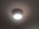 領(lǐng)王隱形臥室風(fēng)扇燈客廳家用一體電扇燈餐廳現(xiàn)代簡約新款吸頂中山燈具 全光譜-吸頂36寸-變頻-調(diào)光-遙控 曬單實(shí)拍圖