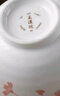 美濃燒（Mino Yaki）日本進(jìn)口陶瓷碗盤組合家用釉下彩布目櫻花餐具套裝16頭 曬單實(shí)拍圖