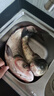 BKUMAN進口原絲ygkpejp線8編路亞專用12編遠投打黑大力馬順滑強拉力魚線 8編五彩【YGKPEJP線】300米 5 曬單實拍圖