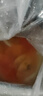 活體寵物熱帶觀(guān)賞魚(yú)元寶黃財神發(fā)財魚(yú)中大型魚(yú)活體黃金鸚鵡魚(yú)包活 10-12cm紅+黃+花各3條共9條 曬單實(shí)拍圖