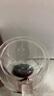 美斯尼 玻璃茶杯泡茶花茶杯玻璃杯子普洱茶杯咖啡馬克杯牛奶果汁早餐麥片杯加厚帶把手女男士雙層隔熱杯大號 290毫升 曬單實(shí)拍圖