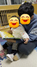 大自然奇妙發(fā)聲書 繪本0-3歲幼兒早教寶寶觸摸書嬰兒兒童洞洞翻翻書幼兒啟蒙有聲書一歲兩歲寶寶點讀認知書兒童益智0-1-2歲讀物 大自然奇妙發(fā)聲書：美麗的春天誰在唱 曬單實拍圖
