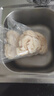 豬大腸批發(fā)預煮半成品商用半熟新鮮免洗干凈冷凍白水肥腸整箱 白肥腸段3斤 品質肥腸+冷鏈速發(fā) 曬單實拍圖