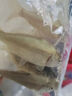裸鯉魚苗體淡水養(yǎng)殖食用冷水觀賞魚活體裸斑魚無甲無磷鯉魚德國鏡鯉三道鱗小魚苗 10條7-9厘米裸鯉魚苗【多發(fā)10%防損】 曬單實拍圖