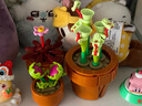 樂(lè)高花植系列兒童拼裝積木生日禮物玩具 10329迷你盆栽花植系列 曬單實(shí)拍圖