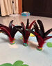 旋士比賽專用雞毛毽子幼兒園健身大花毽子小學(xué) 3個.+大雞毛毽+耐踢不掉毛 曬單實(shí)拍圖