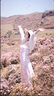 緋垚粉色蕾絲花邊碎花吊帶連衣裙女春秋夏季法式溫柔A字海邊度假長(zhǎng)裙 桃粉色 M 曬單實(shí)拍圖
