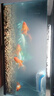 皓寵火山石魚缸底砂造景全套沙水族箱裝飾套餐石頭鋪底石小擺件溪流石 5斤裝天然火山石1-2厘米 曬單實拍圖