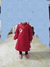 Classic Teddy精典泰迪女童連衣裙兒童漢服中小童國風(fēng)連衣裙中式年服 大紅 120  曬單實(shí)拍圖