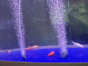 森森氧氣泵魚缸充氧泵水族箱增氧泵大功率氣泵低噪音魚池增氧機(jī) 12W氣泵4cm氣盤套餐 曬單實(shí)拍圖