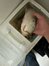 化氏鋼彈2號化4號6號鯽4#6#野釣專(zhuān)用鯽魚(yú)魚(yú)餌料濃腥香餌料不空軍鋼蛋 （小慧推薦）4號+6號+鋼彈2號 曬單實(shí)拍圖
