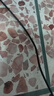 旅行必備眼鏡鏈眼鏡繩掛繩掛脖防掉防脫落防丟 眼鏡掛繩1根【黑色】 曬單實(shí)拍圖