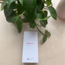 Hi nova5G智選手機WIKO暢享60s 鴻蒙生態(tài)Hi系列24期免息學(xué)生老人智能備用機全網(wǎng)通補貼 雪域白 百億8+256GB 曬單實拍圖