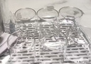 富光 茶壺茶水分離玻璃泡茶壺煮茶耐高溫帶濾網(wǎng)飄逸杯功夫茶茶具 1300ml+6杯+瀝水盤 曬單實拍圖