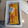 七葉島寧波特產(chǎn)新鮮大墨魚蛋4斤烏賊卵全淡烏魚蛋海鮮烏賊目魚蛋大白蛋 「新鮮無鹽」大白蛋（1斤） 曬單實(shí)拍圖