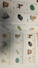 進(jìn)口原版 Smart Phonics 5級(jí)別套裝學(xué)生書+練習(xí)冊 在線學(xué)習(xí)+教學(xué)視頻課 兒童啟蒙自然拼讀教材 曬單實(shí)拍圖