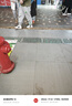 Jordan男子休閑鞋喬丹AJ1小迪奧 JORDAN 1運(yùn)動(dòng)鞋554724-092淺煙灰41 曬單實(shí)拍圖