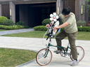 拓樂Thule Yepp Nexxt 2 Mini 前置式兒童自行車座椅 行李架 12021159 / 寶石藍(lán)【前置式】 曬單實(shí)拍圖
