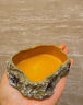 OEING烏龜喂食盤(pán)爬寵水盆食盆蜥蜴陸龜黃緣角蛙蛇守宮爬蟲(chóng)用品龜缸造景 小號食盆 曬單實(shí)拍圖