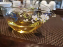 杉隱一葉扁舟公道杯玻璃公杯茶漏功夫茶具配件日式勻杯透明高檔分茶器 （春歸）柳葉扁舟公道杯 曬單實拍圖