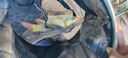川澤高靈敏鯽魚(yú)漂醒目陰天尾浮漂頓口漂翻身快抗走水魚(yú)標漁具鯉魚(yú)野釣 CA-01(8號) 吃鉛3.56克 陰天尾 高靈敏葫蘆漂陰天尾 曬單實(shí)拍圖
