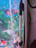 boxtech魚缸加熱棒恒溫器水族箱加熱增溫石英加熱器熱帶魚控溫器材迷你小 石英防爆加熱棒100瓦 曬單實(shí)拍圖