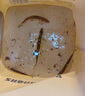 羚特打水桶 釣魚(yú)路亞野釣可折疊手提魚(yú)護(hù)裝魚(yú)桶戶外魚(yú)箱活魚(yú)桶 8L提手款水桶20cm【不帶蓋】 曬單實(shí)拍圖