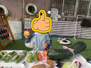 戴維貝拉（DAVE＆BELLA）男童外套春秋款連帽兒童上衣2025新款運(yùn)動(dòng)中大童外衣小男孩防風(fēng)衣 藍(lán)色【現(xiàn)貨】 120 cm（建議身高110-120cm） 曬單實(shí)拍圖