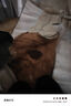 夢(mèng)多福 睡袋成人 冬季戶(hù)外羽絲絨秋冬單人露營(yíng) 1.8kg 沙茶棕【木乃伊款】 適宜溫度0℃—-10℃ 曬單實(shí)拍圖