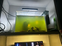 尼奧光 NEO-HELIOS尼奧S3PLUS RGB 水草增色植物燈 魚缸LED全光譜水草燈 小缸暴藻燈 13w新款S3pro+高亮自然版 亮度提升100% 曬單實(shí)拍圖