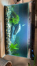 森悠（SARYOR）魚缸懶人沉木水榕造景裝飾活體植物水族箱真水草套餐淡水增氧水草 垂淚莫斯沉木+鳳尾莫斯沉木 曬單實拍圖
