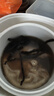 胡椒根包郵正宗海南胡椒根原生態(tài)煲湯燉湯料泡酒藥材純根可泡茶煲 100克 曬單實拍圖