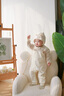 巴拉巴拉童裝新生兒寶寶連體衣滿月服爬服嬰兒2025男童女童背帶假兩件春裝 咖色調(diào)00355 80cm 曬單實(shí)拍圖