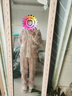 浪莎睡衣女秋冬季加絨加厚珊瑚絨法蘭絨保暖休閑家居服套裝2025新款 VK003 M 曬單實(shí)拍圖