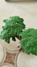 瑪奇樂(lè )仿真植物模型玩具沙盤(pán)植物仙人掌小樹(shù)木果樹(shù)草叢綠植場(chǎng)景DIY擺件 大樹(shù) 曬單實(shí)拍圖