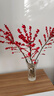 購優(yōu)匯北美冬青紅果鮮花切枝鮮切花新年喜慶發(fā)財果水培水養綠植室內年宵 A級冬青60cm【2支】贈掛件 曬單實(shí)拍圖