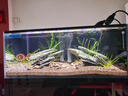 吉印i7Plus原生魚專用燈魚缸照明燈全光譜爆藻燈led燈防水鳑鮍寬鰭鱲 93cm/帶透鏡/爆藻曬苔/適用93-105cm缸 曬單實拍圖