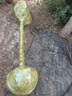 寶御安歐洲紫丁香花樹(shù)苗濃香花卉植物室外耐寒耐熱多年生庭院別墅風(fēng)景樹(shù)7年叢生8-10分支141cm(含)-170cm(含) 曬單實(shí)拍圖