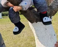 泰蘭尼斯冬季新款兒童雪地靴女童毛絨舒適保暖恒溫男童防滑靴子 熊貓黑 26 鞋內長(cháng)16.0適合腳長(cháng)14.5 曬單實(shí)拍圖