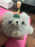 鑒百伊 airpodspro2保護套毛絨airpods3代保護殼蘋果無線藍(lán)牙耳機套硅膠軟殼可愛卡通 【毛絨款 灰色 綠包小熊】軟殼 蘋果 AirPods Pro2（第二代） 曬單實拍圖