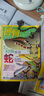 包郵 博物+環(huán)球少年地理+萬(wàn)物雜志組合 2026年1月起訂 雜志鋪全年訂閱 青少年科普百科 曬單實(shí)拍圖