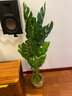 百動(dòng)龜背竹仿真大型綠植盆栽辦公室內(nèi)假花卉仿生植物樹擺件裝飾1.2米 曬單實(shí)拍圖