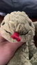 Jellycat英國高端毛絨玩具 史蒂夫蛇18cm 玩偶 七夕情人節(jié)禮物 曬單實(shí)拍圖