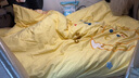 恩興水洗棉純棉床上四件套全棉兒童床品學(xué)生宿舍床單三件套可愛黃被套 眠-調(diào)皮芝士【100%全棉水洗棉面料】 0.9m床【床單款三件套】適150x200被子 曬單實拍圖